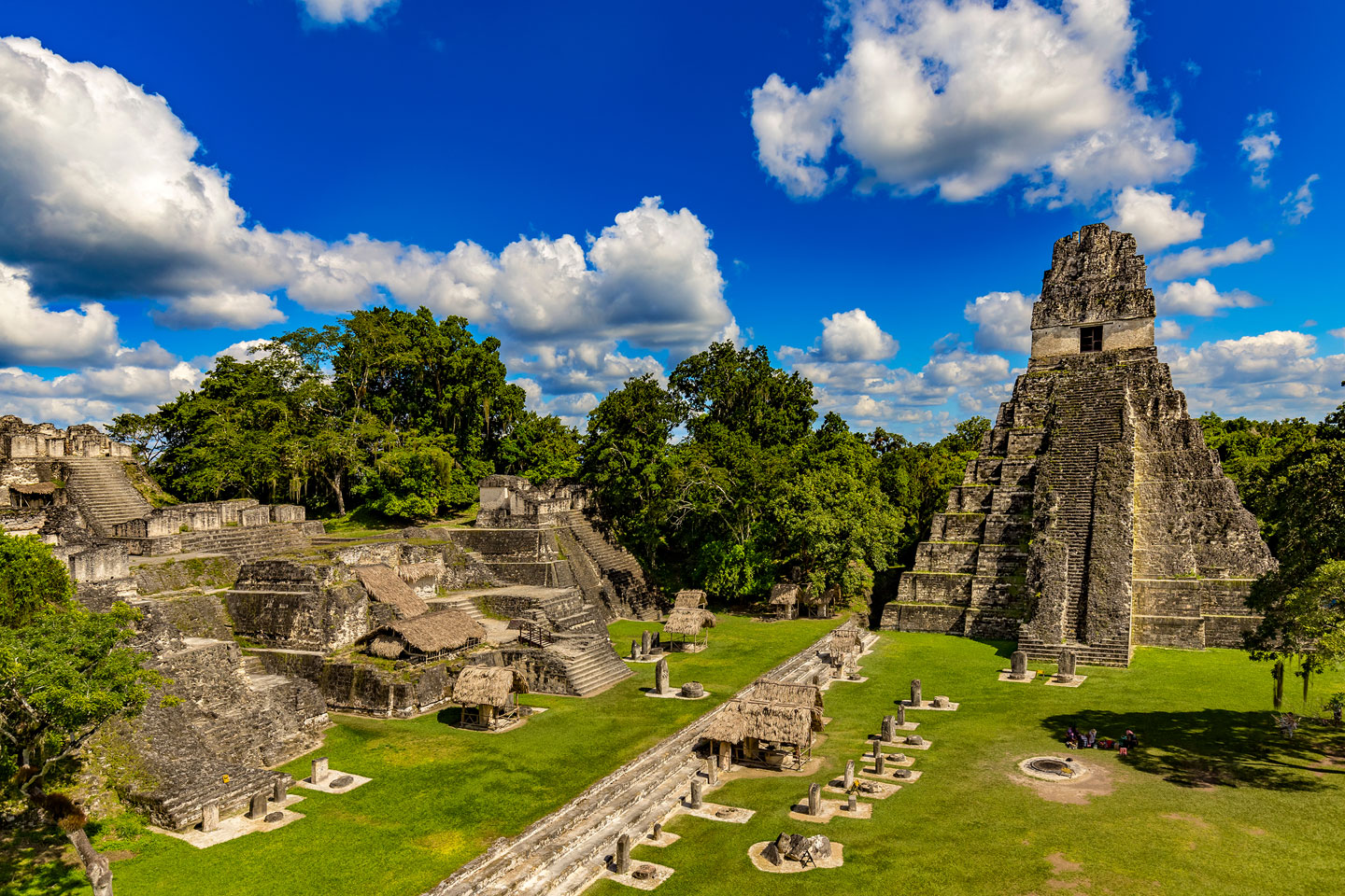 Tikal The Largest Mayan Complex The Ancient Connection